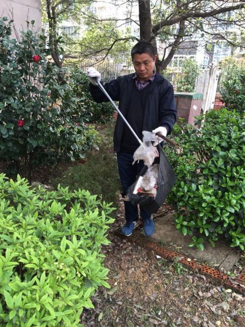 �����󺦡�Ԥ��������������������Э����������